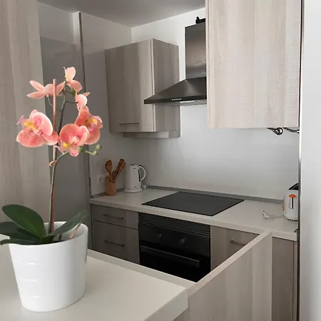 Apartment Garden By Club Olympus